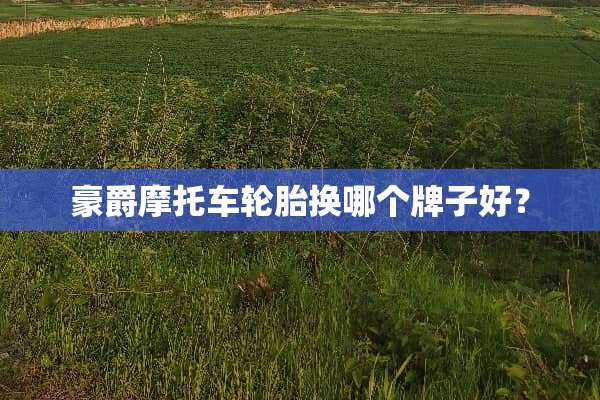 豪爵摩托车轮胎换哪个牌子好？