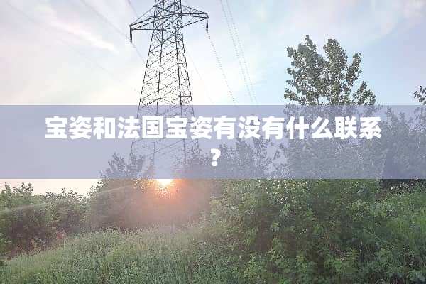 宝姿和法国宝姿有没有什么联系？