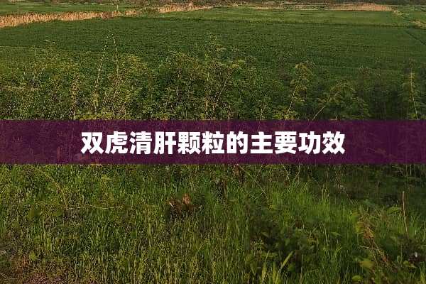 双虎清肝颗粒的主要功效