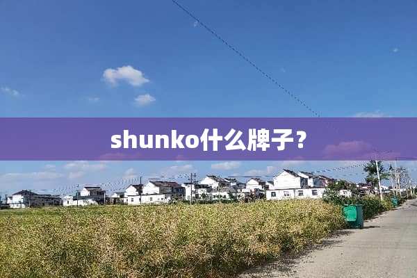 shunko什么牌子？