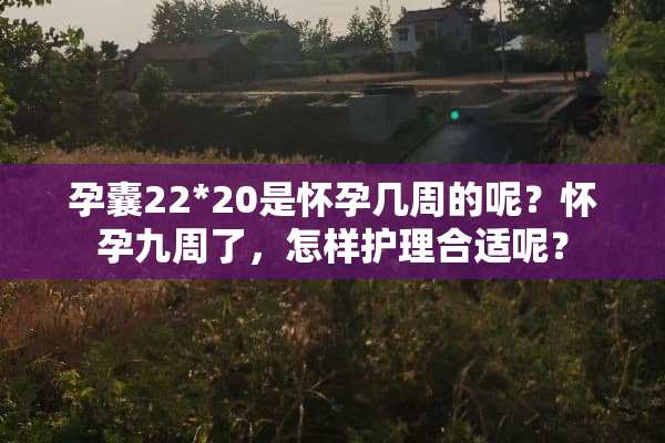 孕囊22*20是怀孕几周的呢？怀孕九周了，怎样护理合适呢？