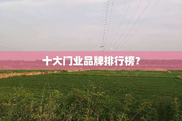十大门业品牌排行榜？