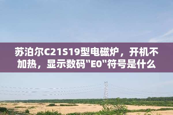 苏泊尔C21S19型电磁炉，开机不加热，显示数码〞E0〞符号是什么原因？