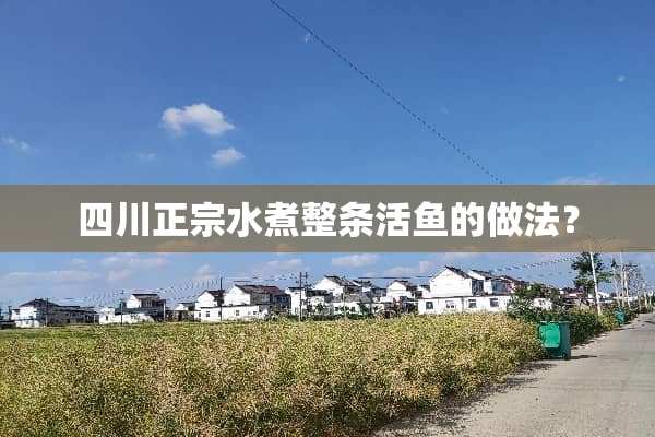 四川正宗水煮整条活鱼的做法？