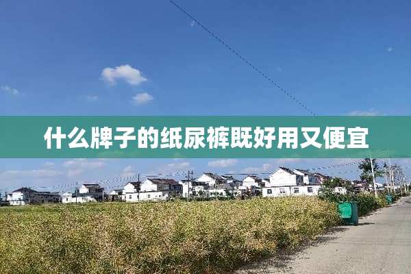 什么牌子的纸尿裤既好用又便宜