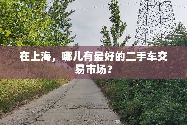 在上海，哪儿有最好的二手车交易市场？