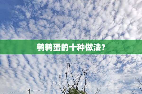 鹌鹑蛋的十种做法？