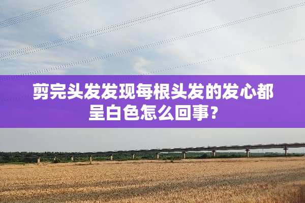 剪完头发发现每根头发的发心都呈白色怎么回事？