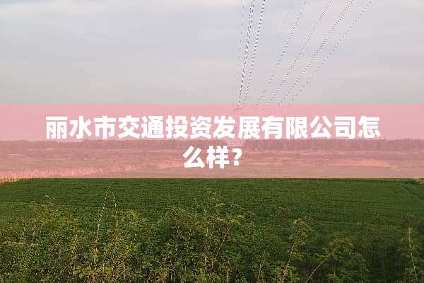 丽水市交通投资发展有限公司怎么样？