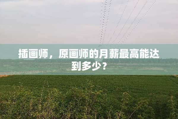 插画师，原画师的月薪最高能达到多少？