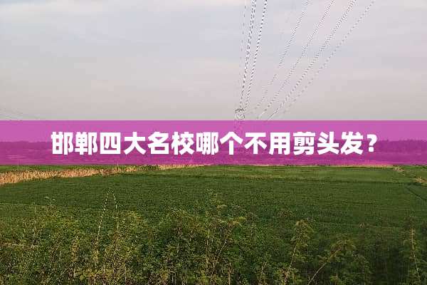 邯郸四大名校哪个不用剪头发？