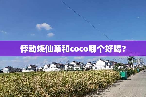 悸动烧仙草和coco哪个好喝？