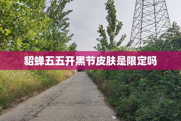 貂蝉五五开黑节皮肤是限定吗