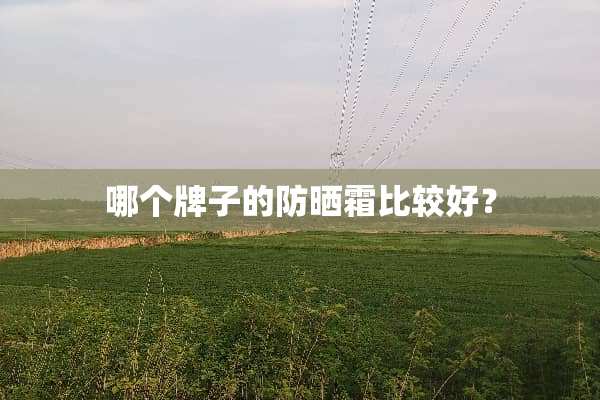 哪个牌子的防晒霜比较好？