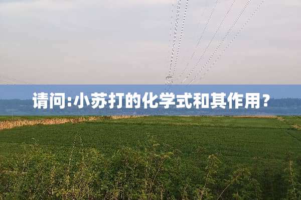 请问:小苏打的化学式和其作用？