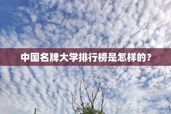 中国名牌大学排行榜是怎样的？