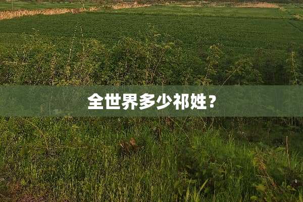 全世界多少祁姓？