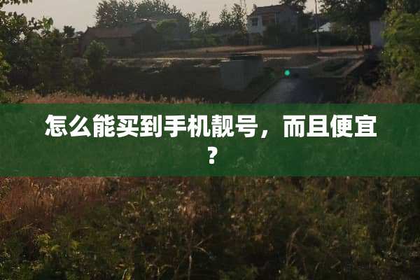 怎么能买到手机靓号，而且便宜？