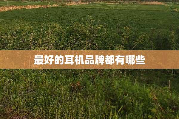 最好的耳机品牌都有哪些