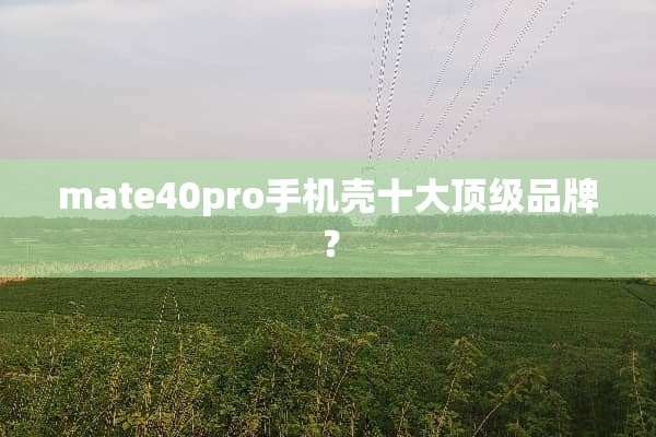 mate40pro手机壳十大**品牌？