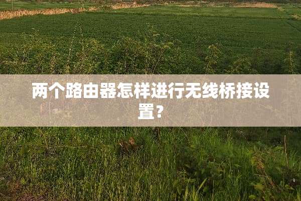 两个路由器怎样进行无线桥接设置？