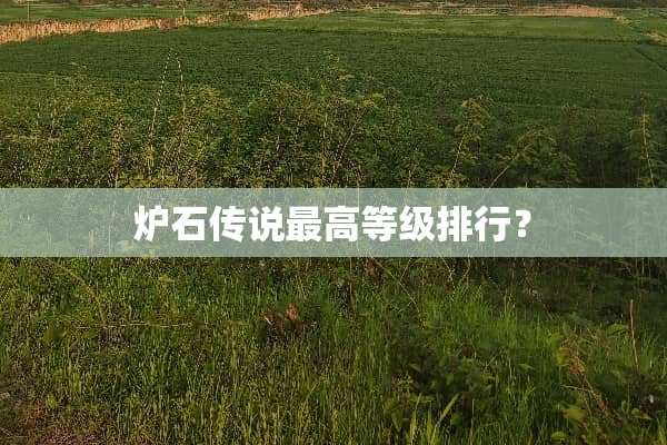 炉石传说最高等级排行？
