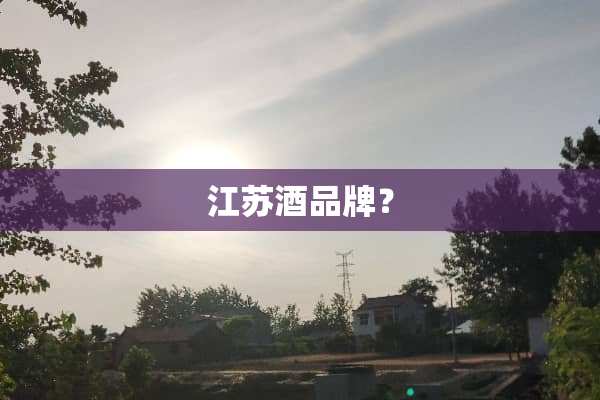 江苏酒品牌？