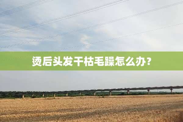 烫后头发干枯毛躁怎么办？