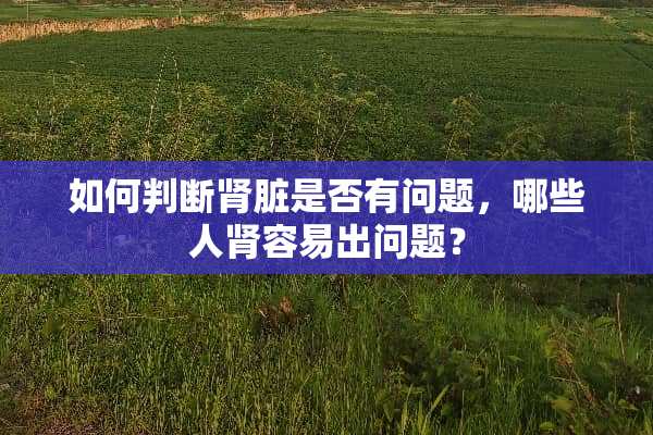 如何判断肾脏是否有问题，哪些人肾容易出问题？