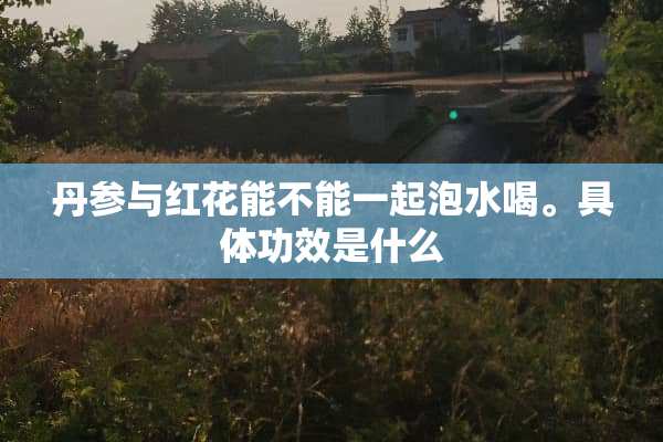 丹参与红花能不能一起泡水喝。具体功效是什么