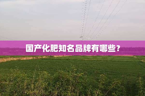 国产化肥知名品牌有哪些？