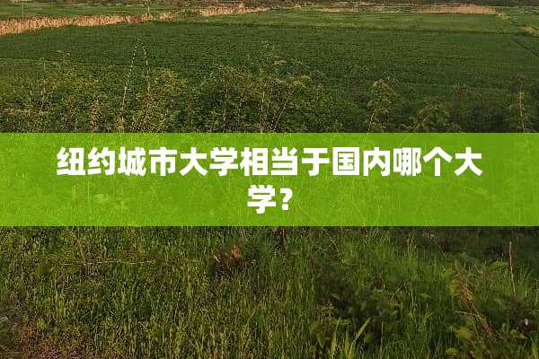 纽约城市大学相当于国内哪个大学？