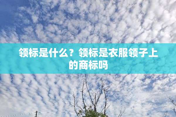 领标是什么？领标是衣服领子上的商标吗