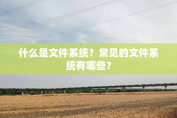 什么是文件系统？常见的文件系统有哪些？