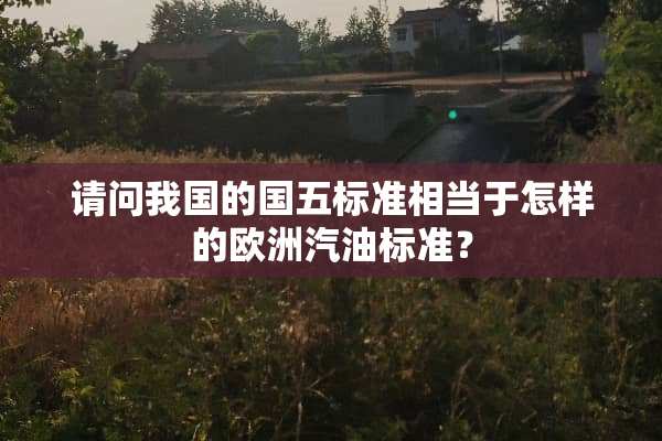 请问我国的国五标准相当于怎样的欧洲汽油标准？