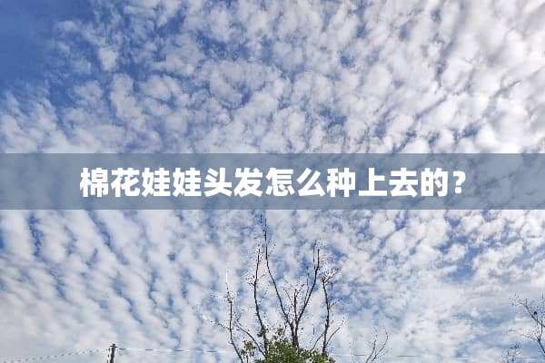 棉花娃娃头发怎么种上去的？