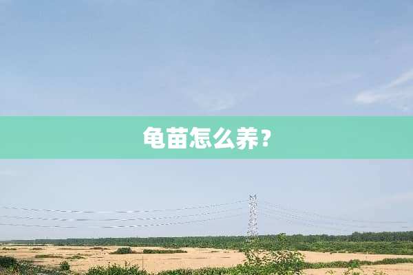 龟苗怎么养？