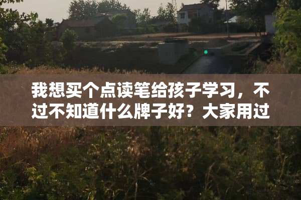 我想买个点读笔给孩子学习，不过不知道什么牌子好？大家用过的推荐一下
