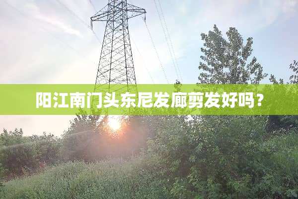 **南门头东尼发廊剪发好吗？