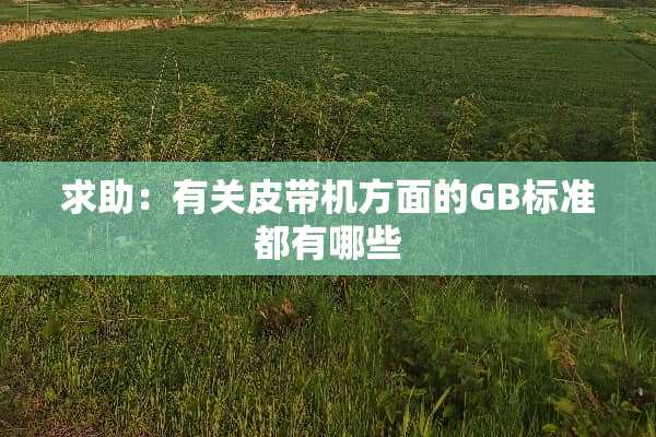 求助：有关皮带机方面的GB标准都有哪些