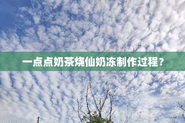 一点点奶茶烧仙奶冻制作过程？