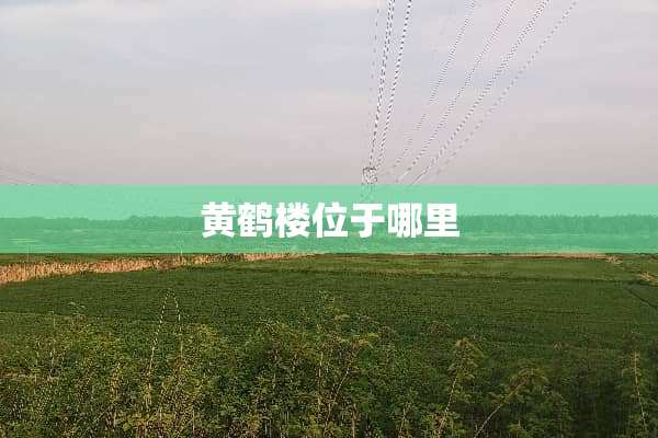 黄鹤楼位于哪里