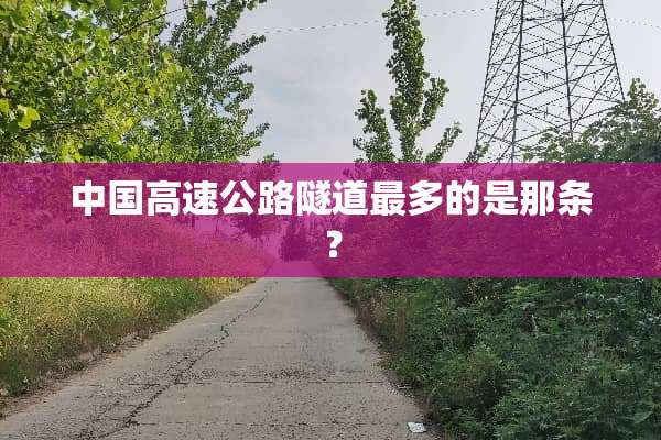 中国高速公路隧道最多的是那条？