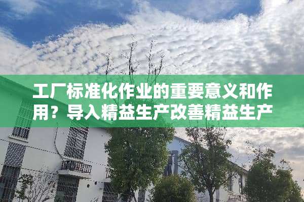 工厂标准化作业的重要意义和作用？导入精益生产改善精益生产咨询公司哪家好？