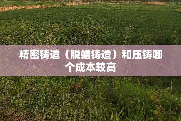 精密铸造（脱蜡铸造）和压铸哪个成本较高