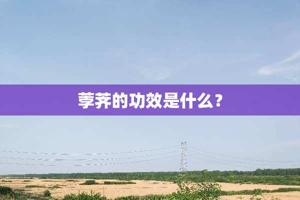 荸荠的功效是什么？