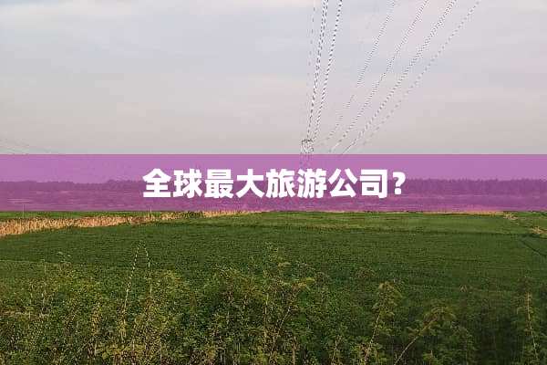 全球最大旅游公司？