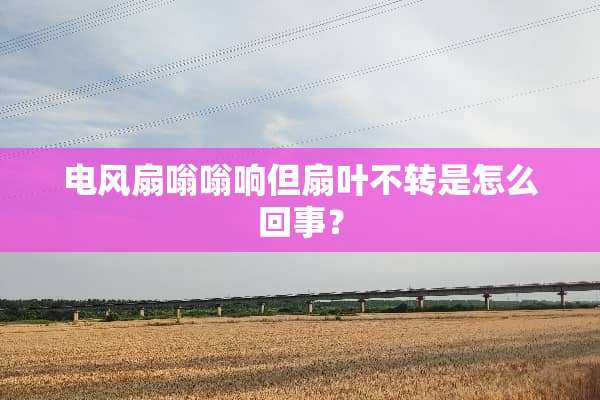电风扇嗡嗡响但扇叶不转是怎么回事？