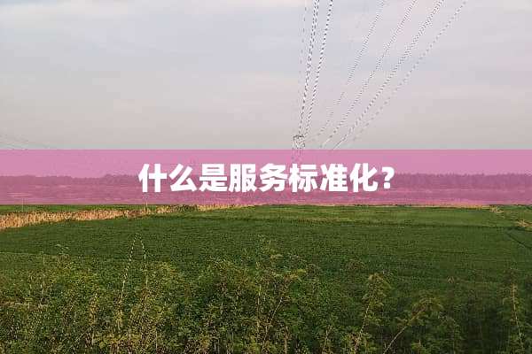 什么是服务标准化？