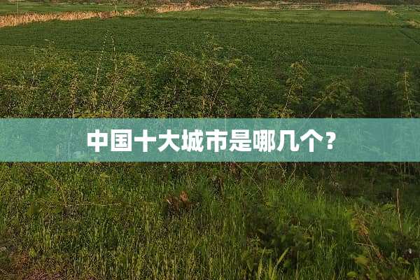 中国十大城市是哪几个？